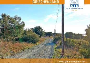 458312-Vorschaubild4