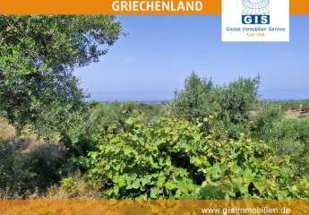 458313-Vorschaubild2