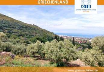 458315-Vorschaubild3