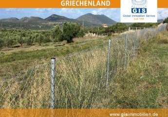 458316-Vorschaubild4