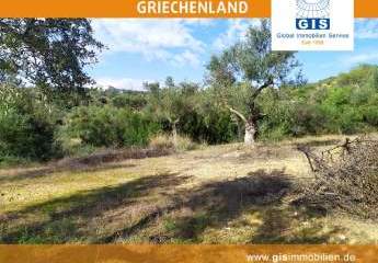 458317-Vorschaubild3