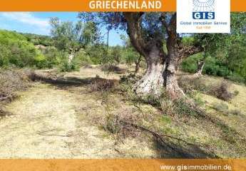 458317-Vorschaubild4