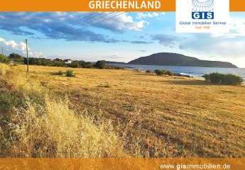 458319-Vorschaubild2