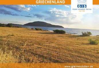 458319-Vorschaubild4