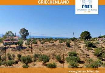 458323-Vorschaubild2