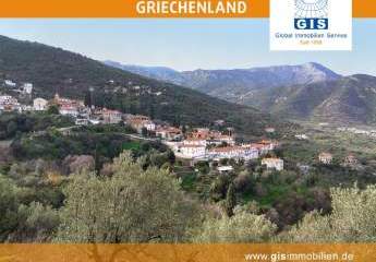 458325-Vorschaubild2