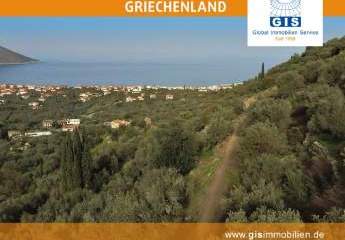 458325-Vorschaubild3