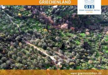 458325-Vorschaubild4