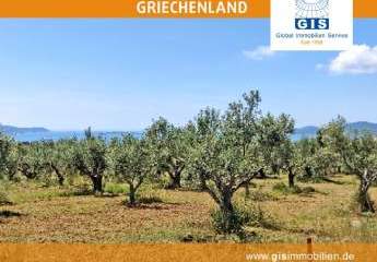 458328-Vorschaubild3