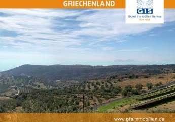 458333-Vorschaubild2