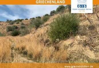 458333-Vorschaubild4