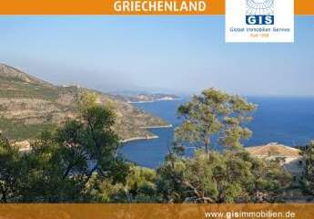 458337-Vorschaubild2