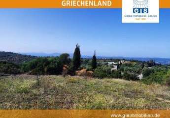 458338-Vorschaubild2