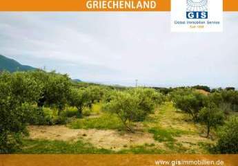 458342-Vorschaubild2