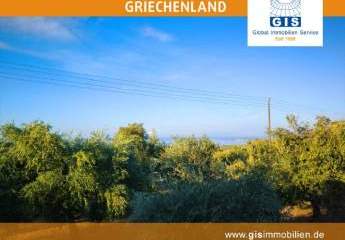 458346-Vorschaubild3