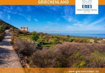 458353-Vorschaubild2