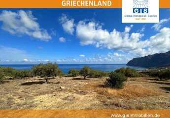 458355-Vorschaubild4