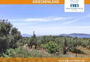 458328-Vorschaubild4