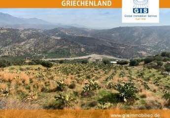 458334-Vorschaubild4