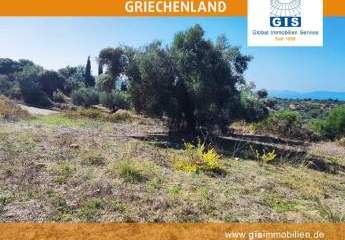 458338-Vorschaubild4