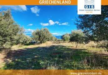 458343-Vorschaubild2