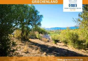 458348-Vorschaubild3