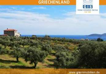 458356-Vorschaubild2