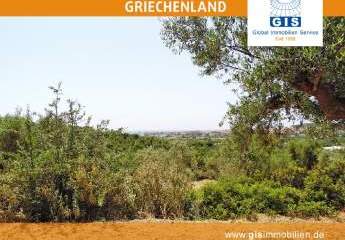 458305-Vorschaubild3