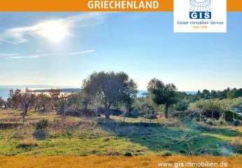 458312-Vorschaubild2