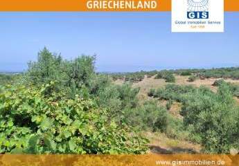 458313-Vorschaubild3