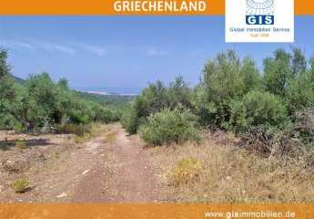 458313-Vorschaubild4