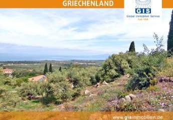 458315-Vorschaubild2