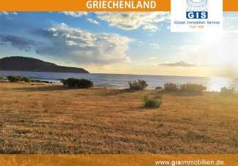 458319-Vorschaubild3