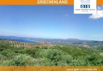 458320-Vorschaubild2