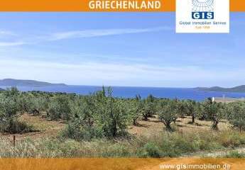 +++ Griechenland - Grundstück - Südwest-Peloponnes: 600 m zum Strand -unverbaubarer Meerblick +++