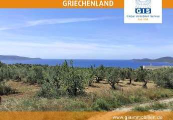 458328-Vorschaubild2