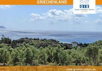 458330-Vorschaubild2