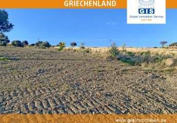 458331-Vorschaubild4