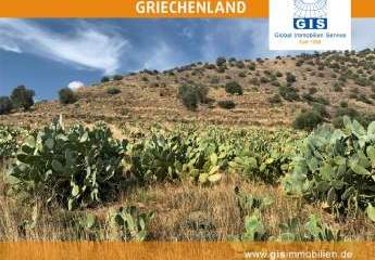 458334-Vorschaubild3