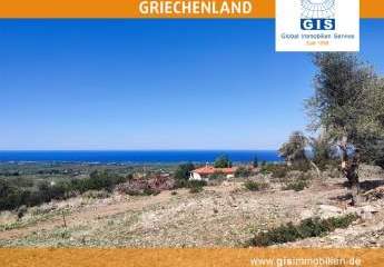 458335-Vorschaubild2