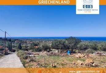 458335-Vorschaubild4