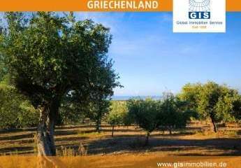 458340-Vorschaubild4