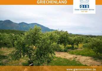 458342-Vorschaubild3