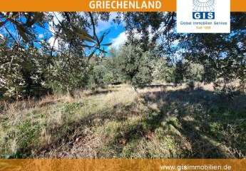 458343-Vorschaubild3