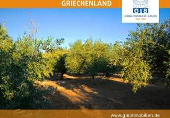 458346-Vorschaubild4