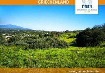 458354-Vorschaubild2