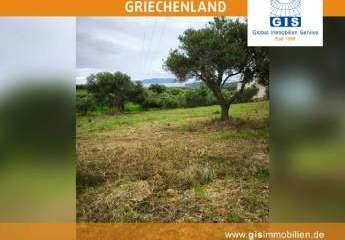 458356-Vorschaubild4