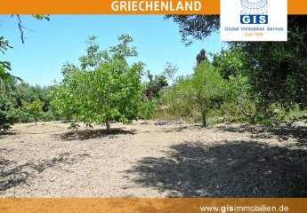 458306-Vorschaubild2