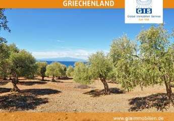 458309-Vorschaubild2