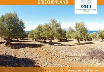 458309-Vorschaubild4